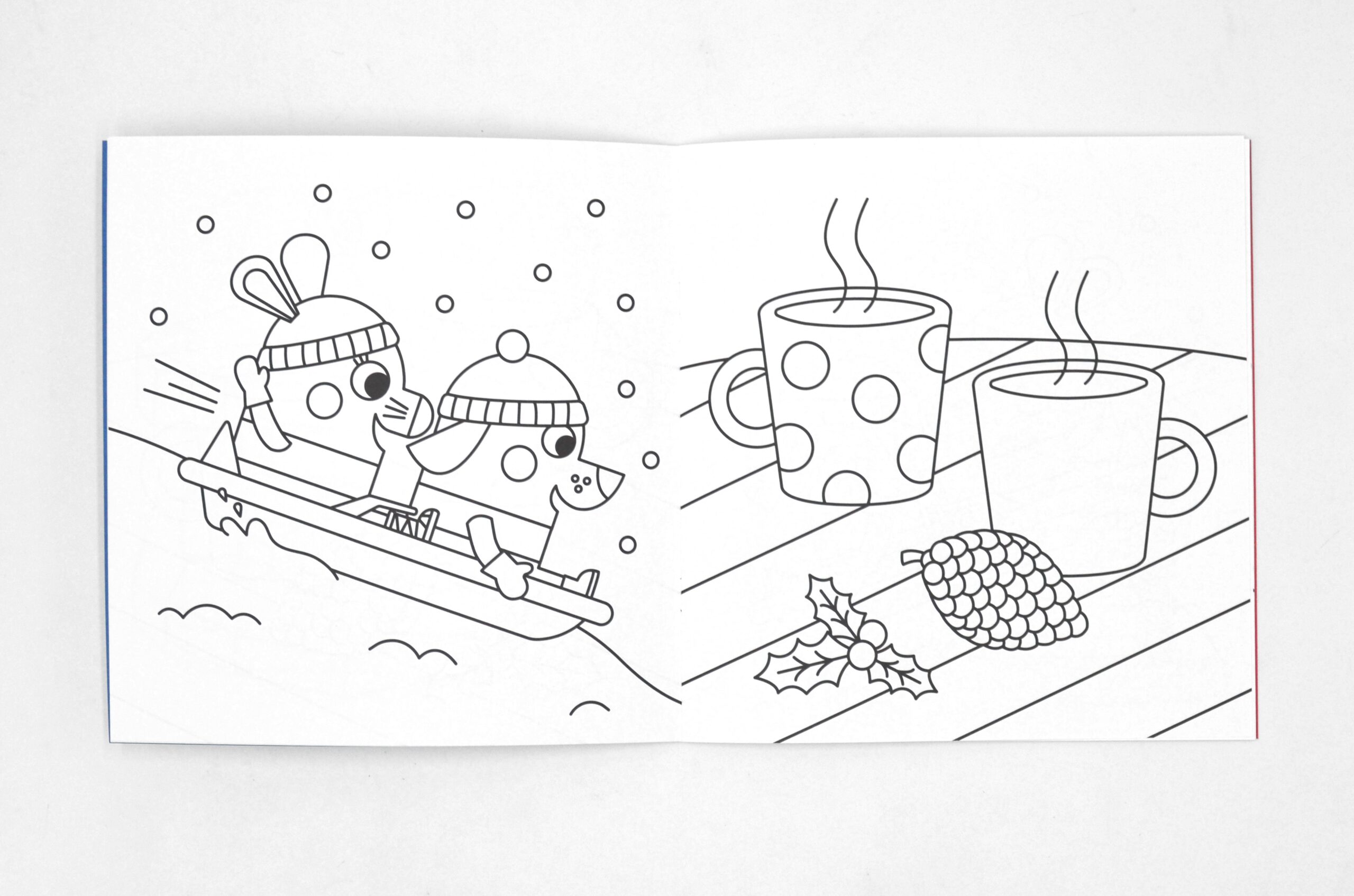 Cahier de coloriage Graou "neige" Cahier de coloriage Graou "neige"